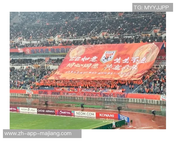 鲁能亚冠退赛申诉获批不会受到追罚喜讯传来